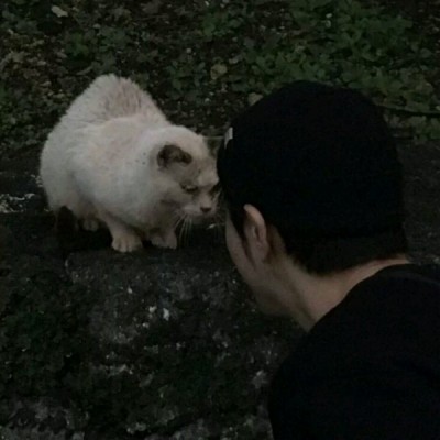 ���ԣ�����˧������ͷ��_������ʱ�������ǲز�ס�İ���