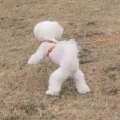 ���շݵ�����ͷ��