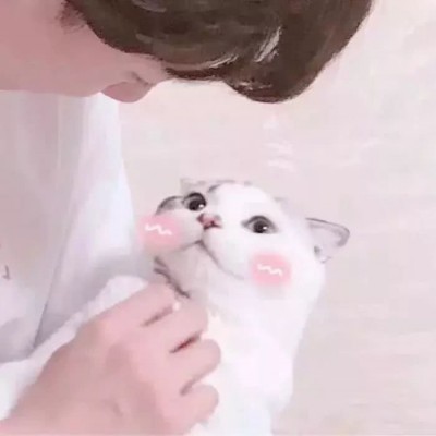 ���շݵ�����ͷ��