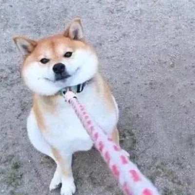 ���շݵ�����ͷ��