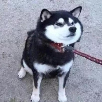 ���շݵ�����ͷ��