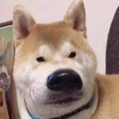 ���շݵ�����ͷ��