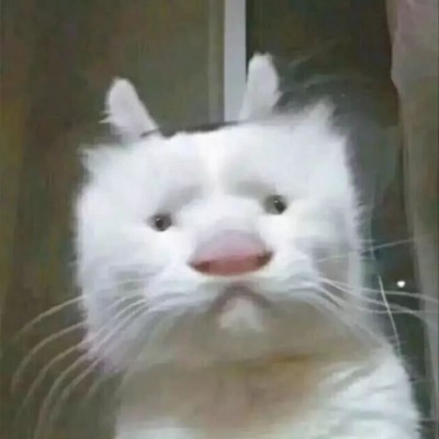 ���շݵ�����ͷ��