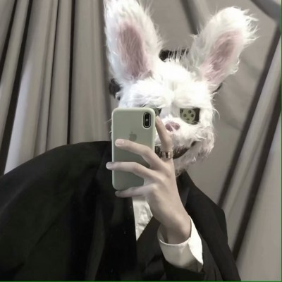 ����ϵ����ͷ��