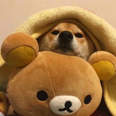 �����ɰ���ͷϵ�У��ģ�