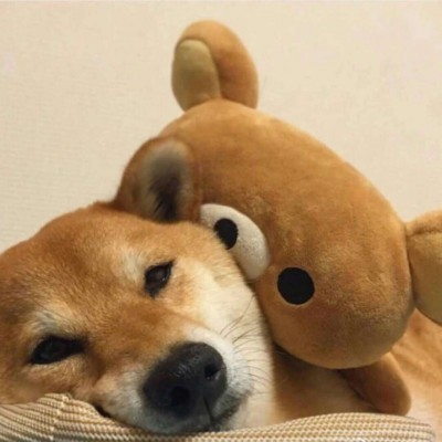 �����ɰ���ͷϵ�У��ģ�