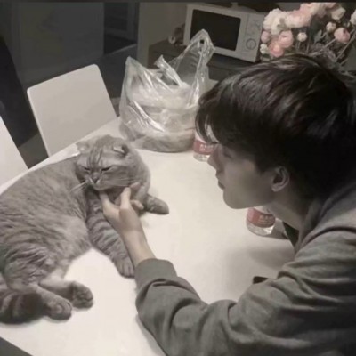 ��Ѫ:�����ʵ���ͷ