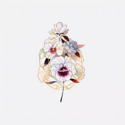 ʮ�����Ϊ��   �Һܱ�Ǹ