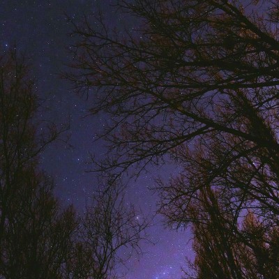 ʮ�������ô�ô�ֵĶ�����ȴ������������