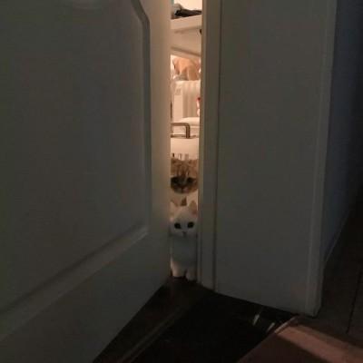 ���ձ���ͼ