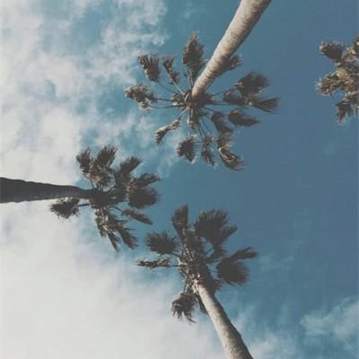 ���ձ���ͼ