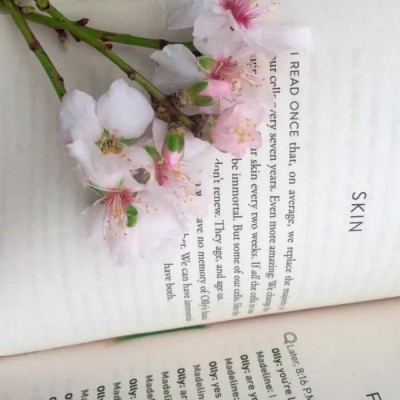 ʮ������Ǿ���һƳ���ط���ʼ��δ�����������㣬����Ҳ���㡣