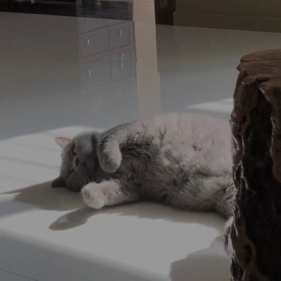 ʮ������Ǿ���һƳ���ط���ʼ��δ�����������㣬����Ҳ���㡣