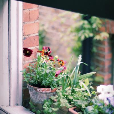 ΢��ͷ��羰����2019     ���ʱ��