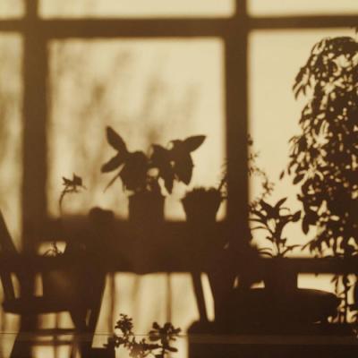 ΢��ͷ��羰����2019     ���ʱ��