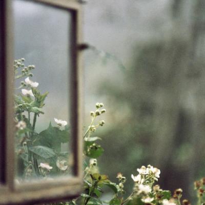 ΢��ͷ��羰����2019     ���ʱ��