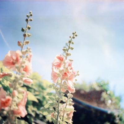 ΢��ͷ��羰����2019     ���ʱ��