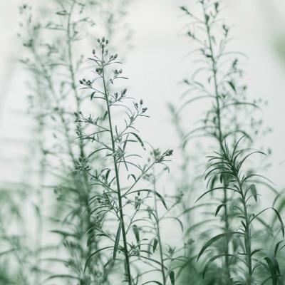 ΢��ͷ��羰����2019     ���ʱ��