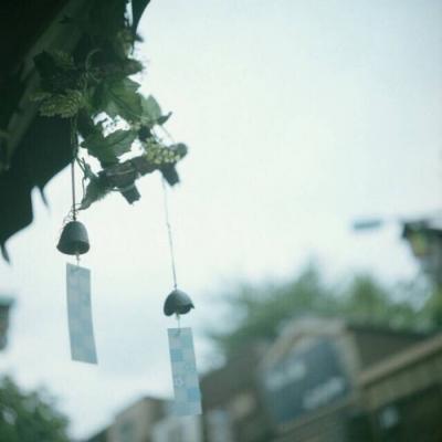 ΢��ͷ��羰����2019     ���ʱ��