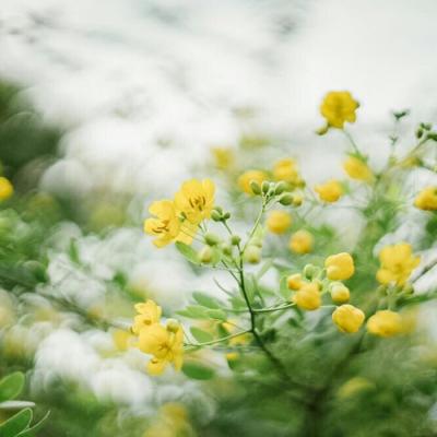 ΢��ͷ��羰����2019     ���ʱ��