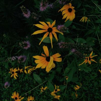 ΢��ͷ��羰����2019     ���ʱ��