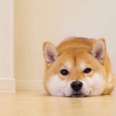 ΢��ͷ���ȳ�ɰ�ͼƬ     ����С�ɰ�