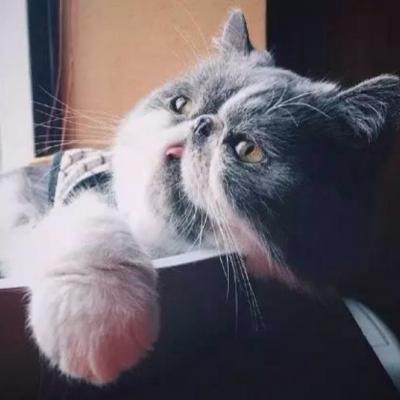 ΢��ͷ���ȳ�ɰ�ͼƬ     ����С�ɰ�