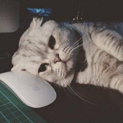 ΢��ͷ���ȳ�ɰ�ͼƬ     ����С�ɰ�