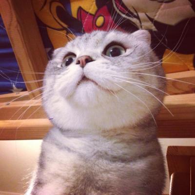 ΢��ͷ���ȳ�ɰ�ͼƬ     ����С�ɰ�