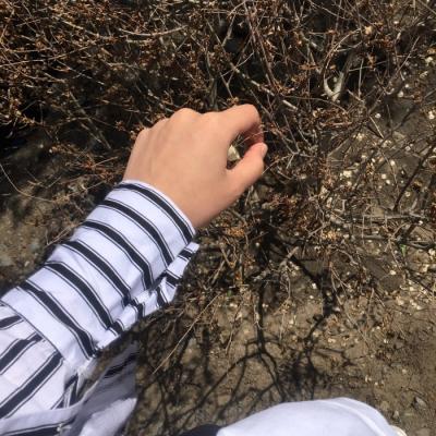 2019�°�΢��ͷ������      ��д�°���