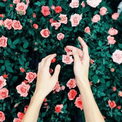 2019΢������ͷ��     һ������ʱ��