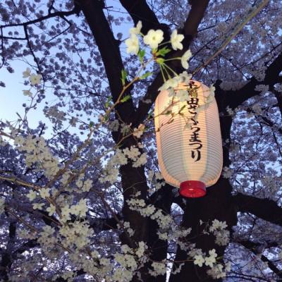 2019΢������ͷ��     һ������ʱ��