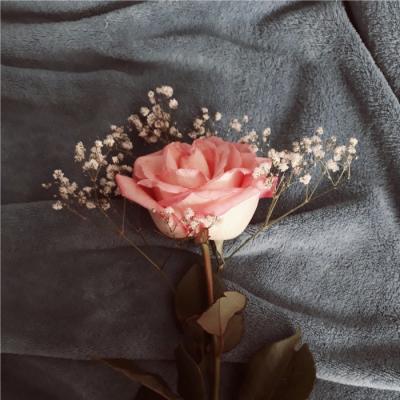 2019����΢��ͷ�� ����         �������