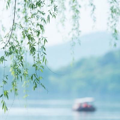 2019����΢��ͷ�� ����         �������