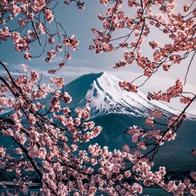 2019����΢��ͷ�� ����         �������