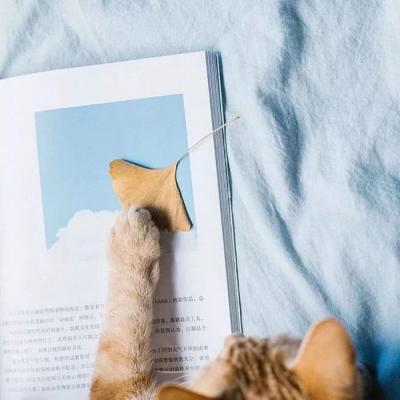 2019����΢��ͷ�� ����         �������