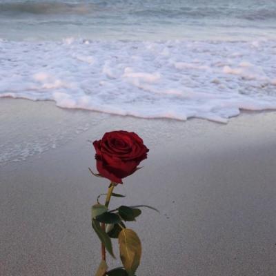 2019����΢��ͷ�� ����         �������