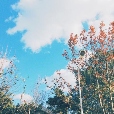 2019����΢��ͷ�� ����         �������