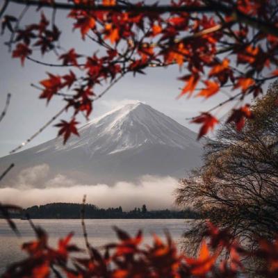 2019����΢��ͷ�� ����         �������