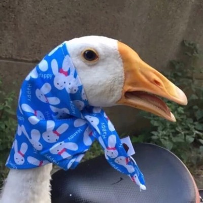 ����.�����ͷ.