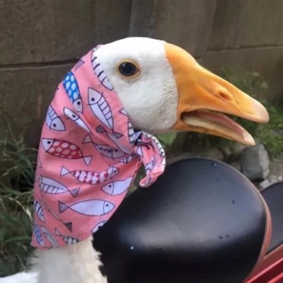 ����.�����ͷ.