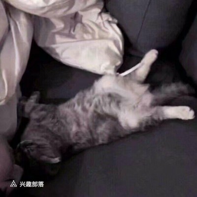 Ƥ:��ǧǧ�����������

�Ҷ�ֻ��ѡ����?