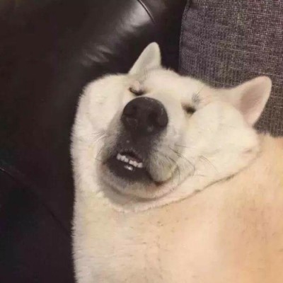 �������ͷ��