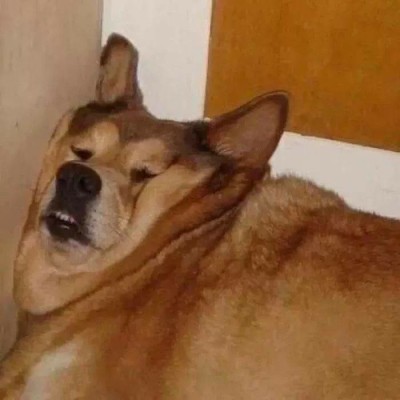 �������ͷ��