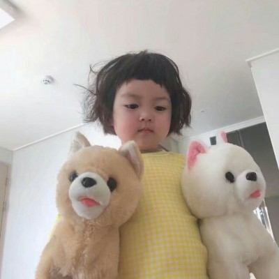 ����ͷ��:������������ı���