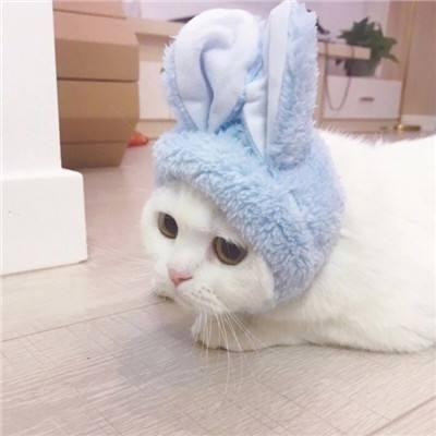 �ȳ�����ͷ��һ��һ��  ������������ĸ��