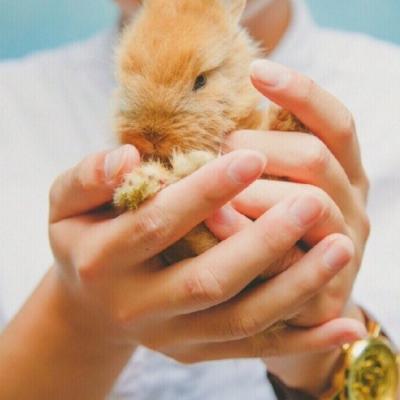 �ȳ�����ͷ��һ��һ��  ������������ĸ��