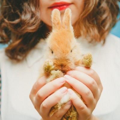 �ȳ�����ͷ��һ��һ��  ������������ĸ��