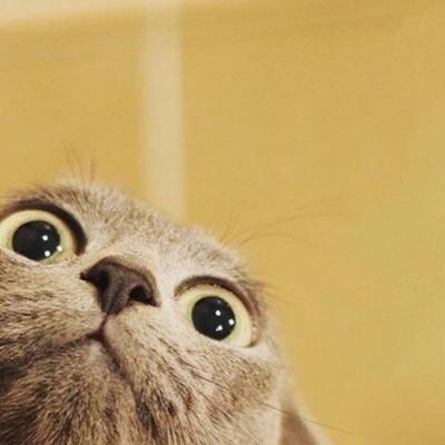 �ȳ�����ͷ��һ��һ��  ������������ĸ��