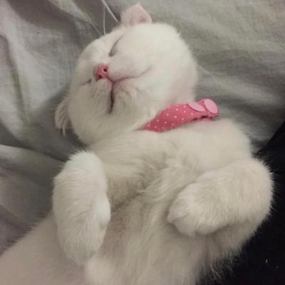 �ȳ�����ͷ��һ��һ��  ������������ĸ��